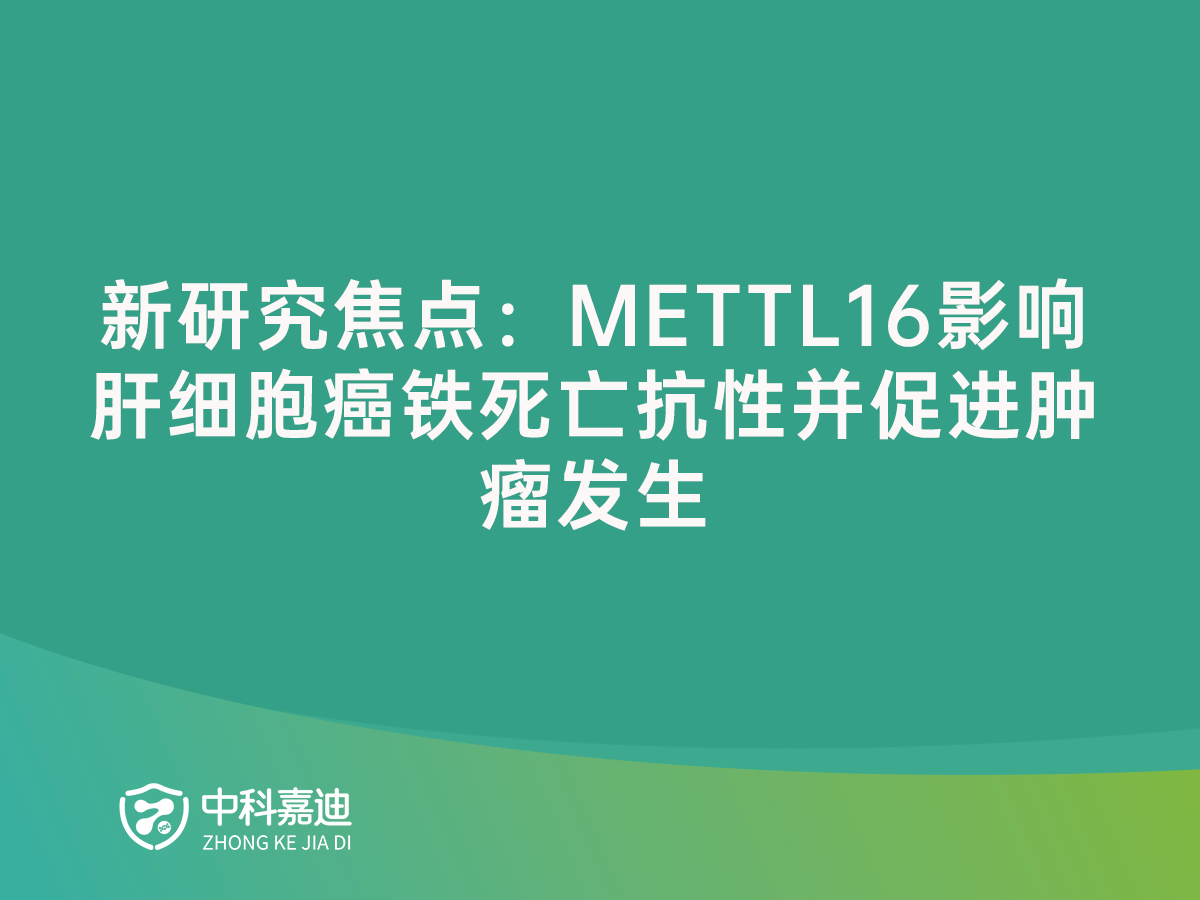 http://www.gfytf.cn/uploads/20250117/32f04bfc958a7203a290b59e6a475c93.png