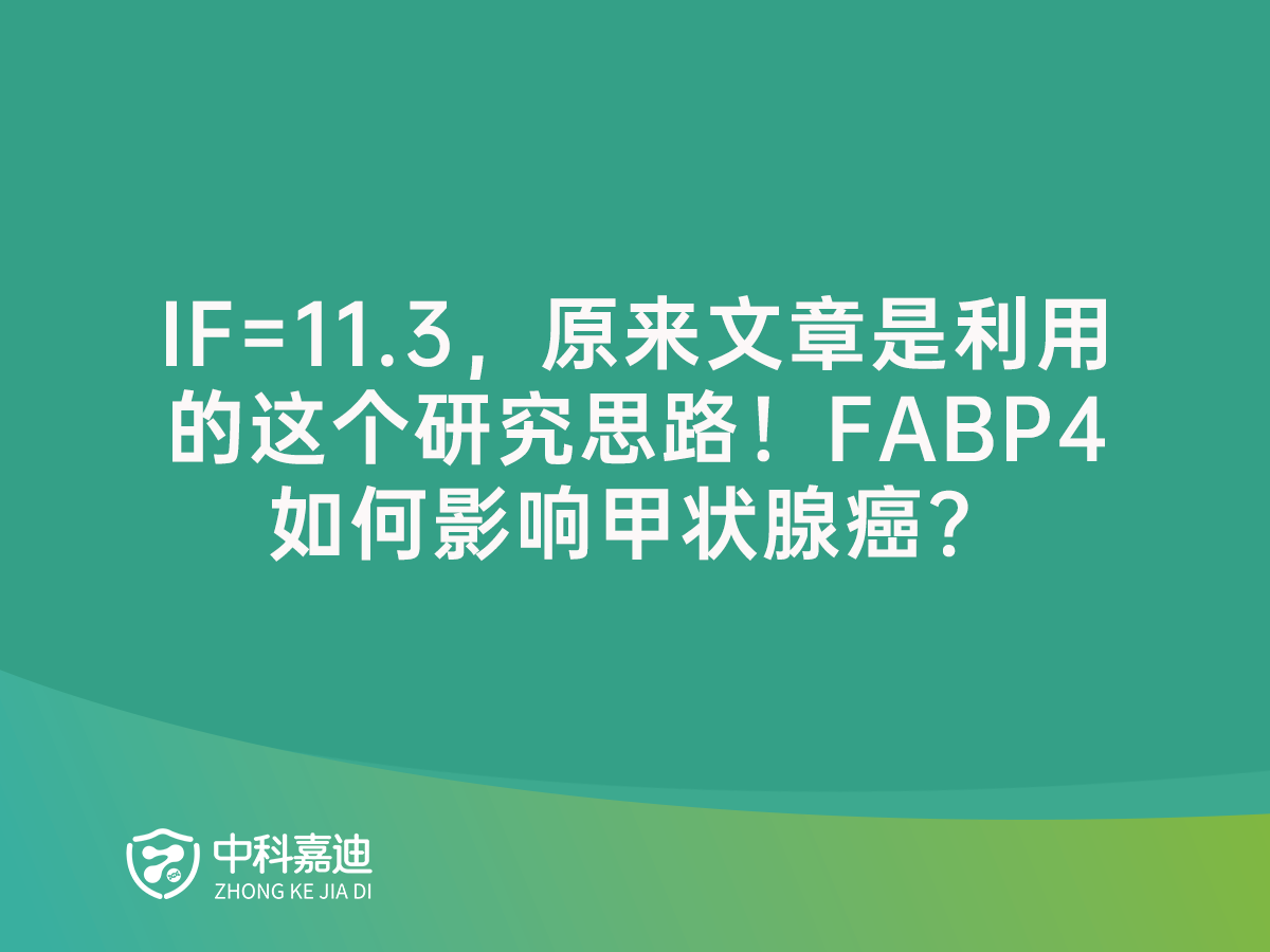 http://www.gfytf.cn/uploads/20250117/93422464dad0b095cea18e7a2da59427.png